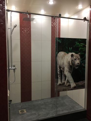 Душевая перегородка с раздвижной дверью