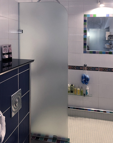 Стеклянная шторка в душ