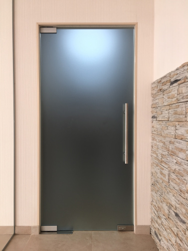 Дверь маятниковая с доводчиком