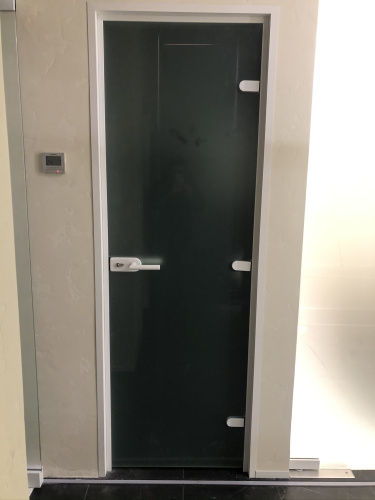 Дверь в алюминиевой коробке